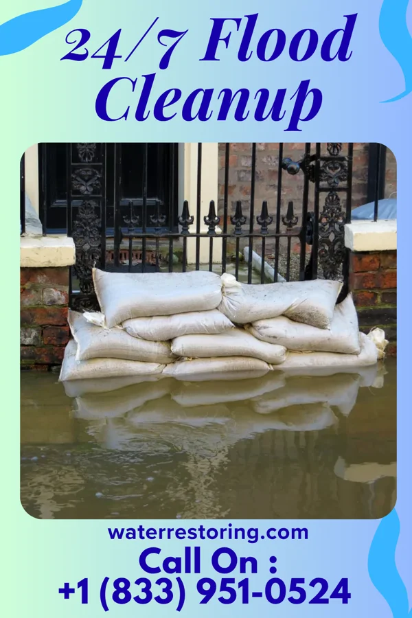 24/7 Flood Cleanup in Amory, MS