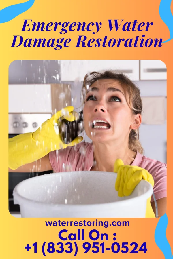 Emergency Water Damage Restoration in Amory, MS