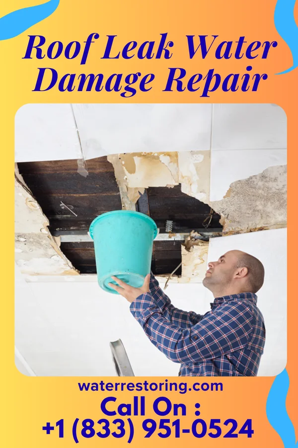 Roof Leak Water Damage Repair in Amory, MS
