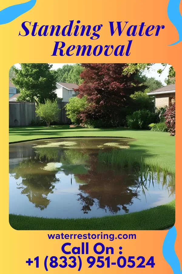 Standing Water Removal in Amory, MS
